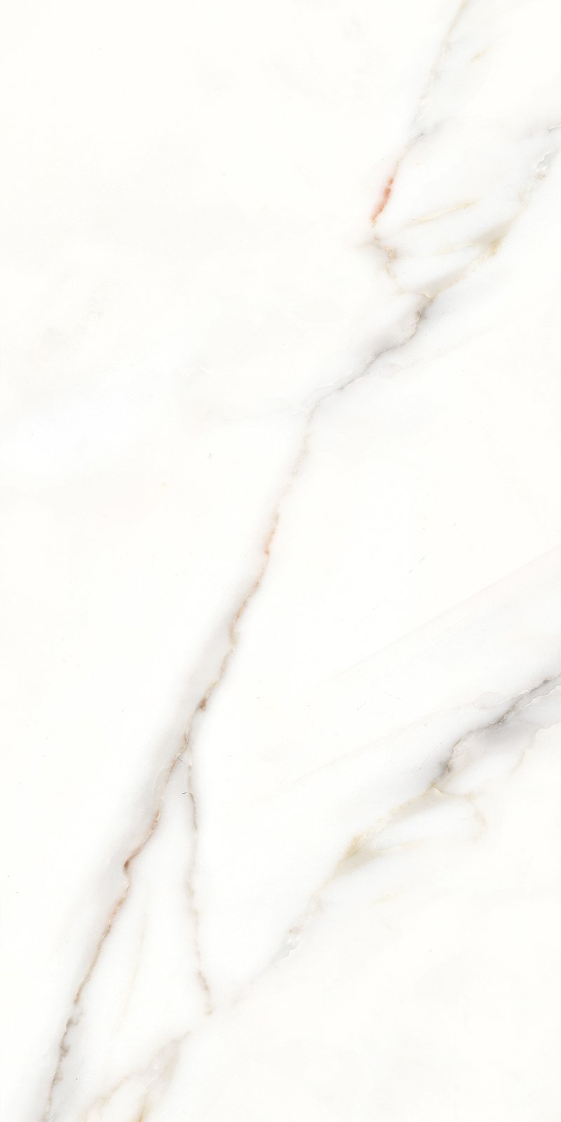 PLATINUM 25X50 CLIFFORD GREY